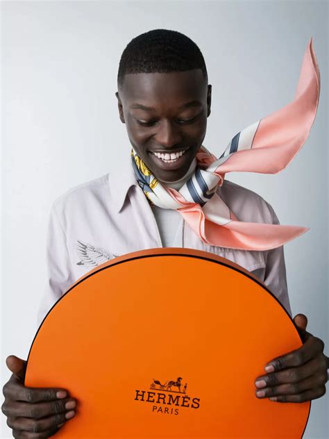 hermes ads on favebook|hermes promotional picture.